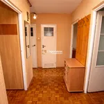 Rent 3 bedroom apartment of 45 m² in Toruń