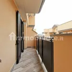 Rent 5 bedroom apartment of 131 m² in Rome