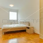 Rent 1 bedroom apartment of 55 m² in City of Zagreb