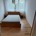 Rent 1 bedroom apartment in Teplice