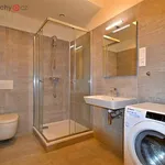 Rent 1 bedroom apartment of 36 m² in Praha 19