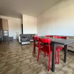 Rent 1 bedroom apartment of 45 m² in Piacenza