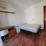 Alquilar 5 dormitorio apartamento en Granada