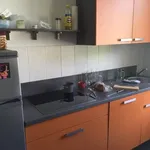 Rent 1 bedroom apartment of 12 m² in Mittweida