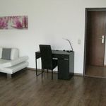 Rent 1 bedroom apartment of 70 m² in Brunswick