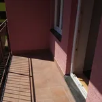 Rent 1 bedroom apartment in Náchod