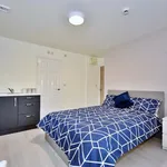 Rent 1 bedroom apartment in North East England