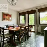 Rent 1 bedroom apartment of 22 m² in treviso