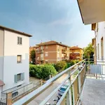 Rent 3 bedroom apartment of 65 m² in Bologna