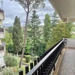 Rent 4 bedroom apartment of 130 m² in Roma