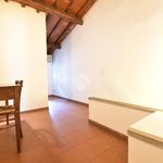 Rent 3 bedroom apartment of 70 m² in Florence