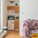 Rent 1 bedroom apartment in Brno