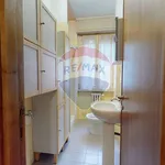 Rent 3 bedroom apartment of 100 m² in Perugia