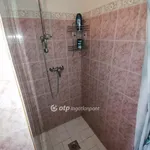 Rent 4 bedroom apartment of 155 m² in Békéscsaba