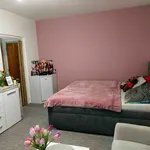 Rent 1 bedroom apartment in Olomouc