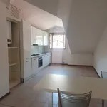 Rent 3 bedroom apartment of 110 m² in Milan