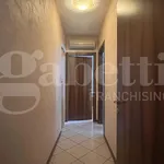 Rent 3 bedroom apartment of 140 m² in albignasego