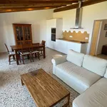 Newly renovated apartment in the heart of the Tramuntana.
Banyalbufar, between the sea and the mountains.