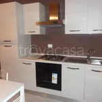 Rent 2 bedroom apartment of 55 m² in Alessandria