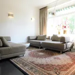 Rent 5 bedroom house of 200 m² in Brabantpark