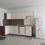 Rent 1 bedroom apartment in Hradec Králové