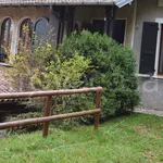 Rent 1 bedroom apartment of 40 m² in Varese