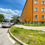 Rent 2 bedroom apartment in Pardubice