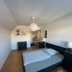 Rent 2 bedroom apartment in Olomouc