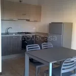 Rent 2 bedroom apartment of 60 m² in Novara