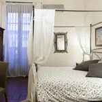 Rent 1 bedroom apartment in Florence