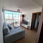 Rent 4 bedroom apartment of 85 m² in  Sevilla