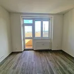 Rent 1 bedroom apartment of 32 m² in Brno