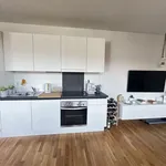 Rent 2 bedroom apartment of 48 m² in Graz