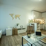 Rent 1 bedroom apartment of 27 m² in Łódź