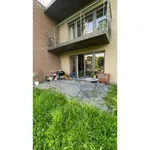 Rent 2 bedroom apartment in Paliseul