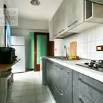 Rent 1 bedroom apartment of 22 m² in treviso