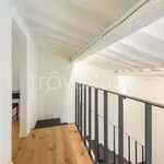 Rent 3 bedroom apartment of 100 m² in Firenze