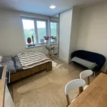 Rent 1 bedroom apartment in Zlín