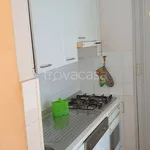 Rent 4 bedroom apartment of 90 m² in Ancona