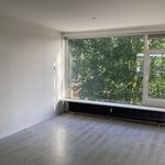 Rent 3 bedroom house of 100 m² in Selwerd