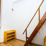 Rent 1 bedroom apartment of 35 m² in Torino