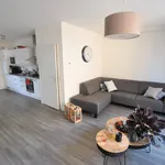 Rent 3 bedroom apartment of 106 m² in Binnenstad