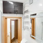 Pronajměte si 1 ložnic/e byt o rozloze 85 m² v Prague