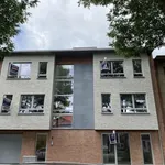 Rent 2 bedroom apartment in Brasschaat