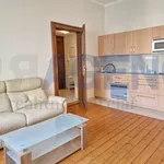 Rent 2 bedroom apartment of 48 m² in Hradec Králové