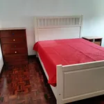 Rent 4 bedroom apartment in Coimbra