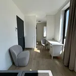 Rent 1 bedroom apartment in Antwerpen