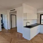 Rent 3 bedroom apartment of 120 m² in Turin