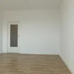 Miete 1 Schlafzimmer wohnung von 29 m² in Döbeln