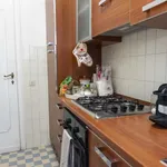 Rent 1 bedroom apartment of 59 m² in rome